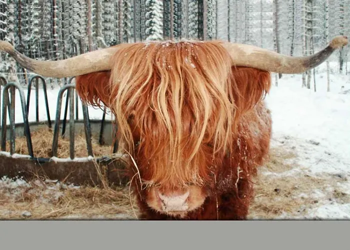 Leipyoelin Tila Bed & Breakfast